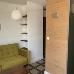 Rent 3 bedroom apartment of 58 m² in Lyon