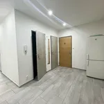 Rent 3 bedroom apartment in Nýřany