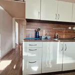 Rent 1 bedroom apartment of 37 m² in Ostrava