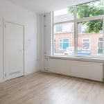 Rent 1 bedroom apartment of 17 m² in Leiden