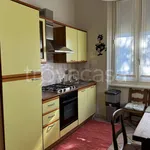 Rent 3 bedroom apartment of 100 m² in Torino