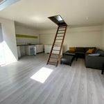 Rent 2 bedroom apartment of 45 m² in CLERMONT FERRAND