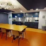 Rent 4 bedroom apartment in Sheffield