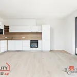 Rent 3 bedroom apartment in Plzeň