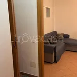 Rent 3 bedroom apartment of 50 m² in Ravenna