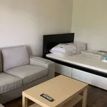 Appartement de 34 m² avec 1 chambre(s) en location à Saint-Étienne