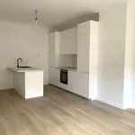 Rent 3 bedroom apartment in Borgerhout