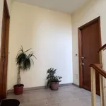 Rent 3 bedroom apartment of 75 m² in Torino