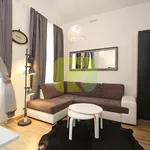 Rent 1 bedroom apartment of 25 m² in Praha