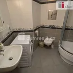 Rent 1 bedroom apartment in Capital City of Prague