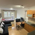 Rent 1 bedroom apartment in Brno