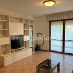 Rent 4 bedroom apartment of 120 m² in Udine