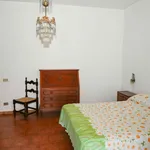 Rent 3 bedroom apartment of 124 m² in Altofonte