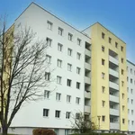 Miete 2 Schlafzimmer wohnung von 62 m² in Wiener Neustadt