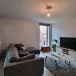 Rent 3 bedroom apartment in Zedelgem