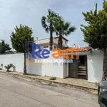 Rent 3 bedroom house of 280 m² in Φραγκοκκλησιά