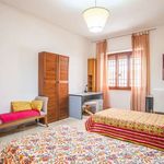 Rent a room of 120 m² in Roma