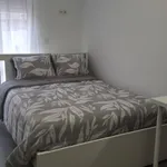 Rent 5 bedroom apartment in Valencia