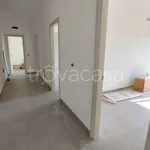 Affitto 2 camera appartamento di 60 m² in Somma Vesuviana