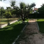 Rent 1 bedroom house of 80 m² in Αχαΐα