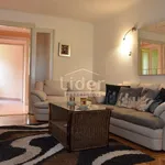 Rent 3 bedroom apartment of 73 m² in Grad Rijeka