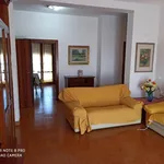 Rent 3 bedroom apartment of 70 m² in Follonica