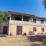 Rent 7 bedroom house of 300 m² in Giove