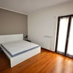 Rent 2 bedroom apartment of 50 m² in Novara