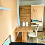 Rent 1 bedroom apartment of 25 m² in Kunovice