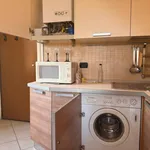 Rent 1 bedroom apartment of 35 m² in Roma