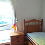 Rent 4 bedroom apartment in Castelo Branco