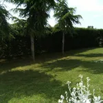 Rent 2 bedroom apartment of 45 m² in Vicenza