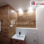 Rent 2 bedroom apartment in Ústí nad Labem