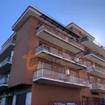 Rent 2 bedroom apartment of 55 m² in Roma