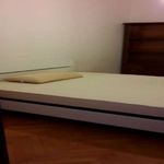 Rent a room in Trento