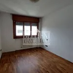 Rent 3 bedroom apartment of 85 m² in Vicenza