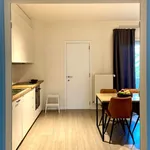 Rent 1 bedroom apartment in Antwerpen