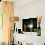 Rent 1 bedroom apartment of 30 m² in Essen