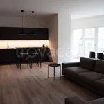 Rent 6 bedroom apartment of 300 m² in Piacenza