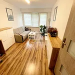 Rent 2 bedroom apartment of 37 m² in Toruń