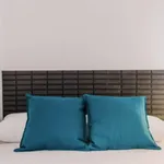 Rent 7 bedroom apartment in Valencia