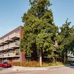 Rent 1 bedroom apartment of 51 m² in Utrecht