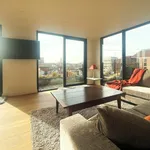 Rent 1 bedroom apartment in Antwerpen