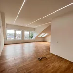 Rent 4 bedroom apartment of 116 m² in Innkreis