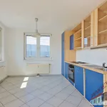 Rent 2 bedroom apartment of 58 m² in Vienna