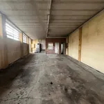 Affitto 1 camera appartamento di 115 m² in Vigliano Biellese