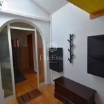 Rent 5 bedroom apartment of 80 m² in Pisa