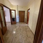 Rent 6 bedroom apartment of 232 m² in Ortona