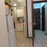 Rent 1 bedroom apartment of 34 m² in Padova