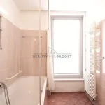 Rent 3 bedroom apartment of 90 m² in Brno